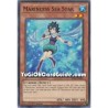 Marincess Sea Star (Common)