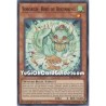 Simorgh, Bird of Beginning...