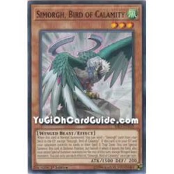 Simorgh, Bird of Calamity...