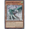 Simorgh, Bird of Calamity...