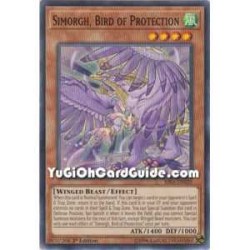 Simorgh, Bird of...