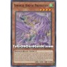 Simorgh, Bird of...