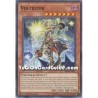 Voltester (Common)