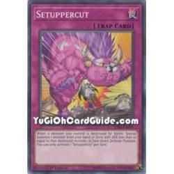 Setuppercut (Common)