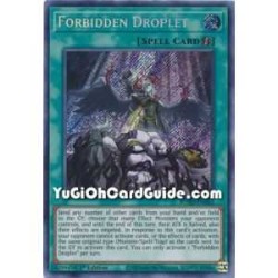 Forbidden Droplet (Secret...