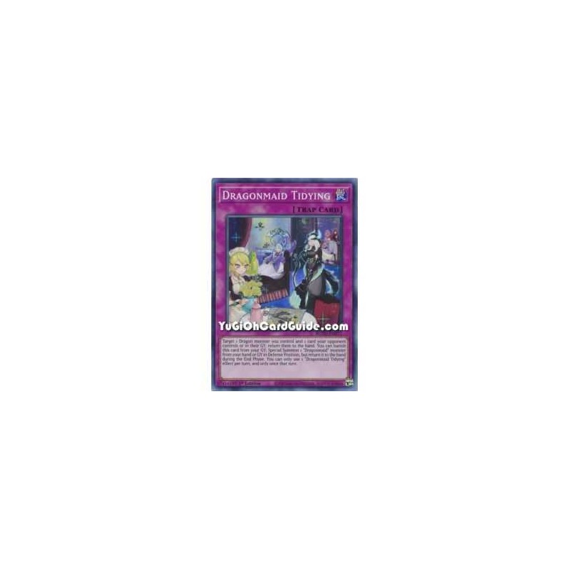 Dragonmaid Tidying (Super...