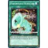 Performance Hurricane (Common)