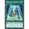 Pendulum Storm (Super Rare)