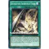 Destruction Swordsman...