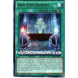 Odd-Eyes Advent (Rare)