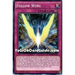 Follow Wing (Common)